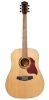 Carter Guitars CGD-140S NL Demo Carter Guitars CGD-140S NL Demo